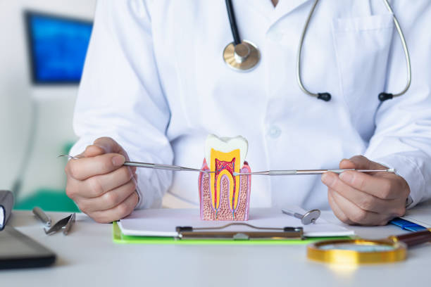 Best Emergency Tooth Extraction in Frederick, CO